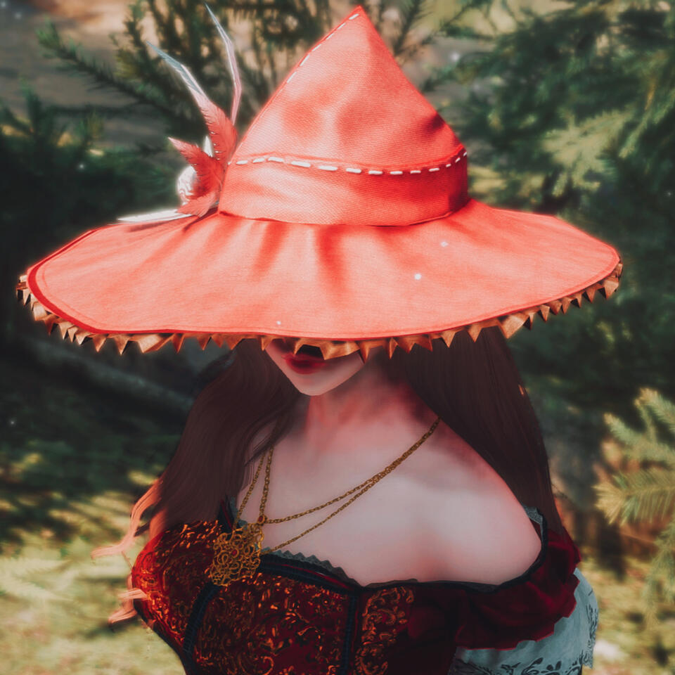 virtual photography